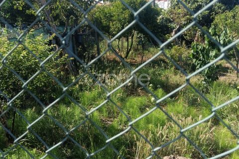 Tomt i Tavarede, Coimbra, Tavarede - € 39 000 | Ref: ZMPT590473 - foto 13
