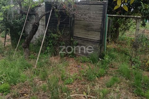 Tomt i Tavarede, Coimbra, Tavarede - € 39 000 | Ref: ZMPT590473 - foto 14