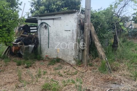 Tomt i Tavarede, Coimbra, Tavarede - € 39 000 | Ref: ZMPT590473 - foto 17