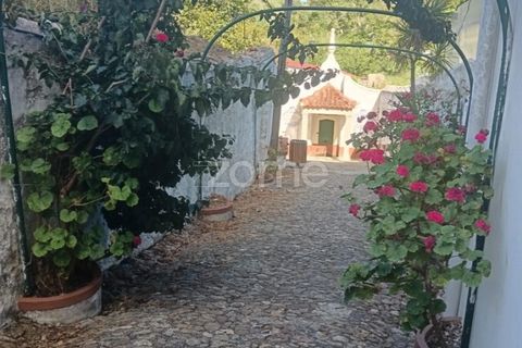 Tomt i Tavarede, Coimbra, Tavarede - € 39 000 | Ref: ZMPT590473 - foto 24