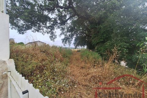 Villa i Cadaval, Lisbon, Cadaval - € 380 000 | Ref: 014-2026 - foto 32