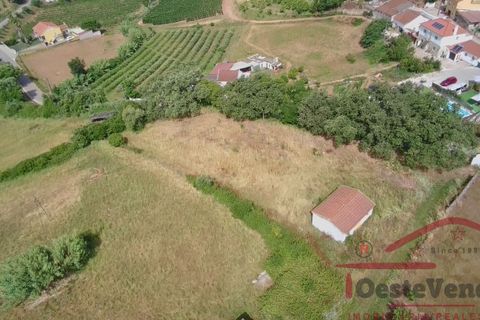 Villa i Cadaval, Lisbon, Cadaval - € 380 000 | Ref: 014-2026 - foto 43