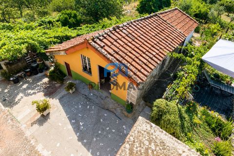 Villa en Resende, Viseu, Resende - € 270.000 | Ref: #291 - photo 42
