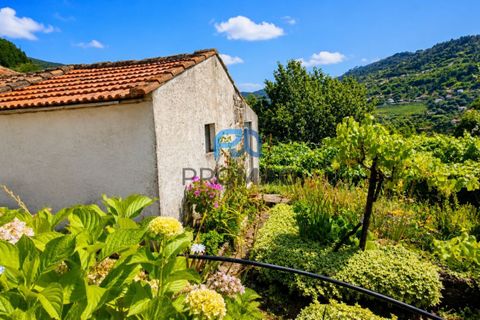Villa en Resende, Viseu, Resende - € 270.000 | Ref: #291 - photo 43