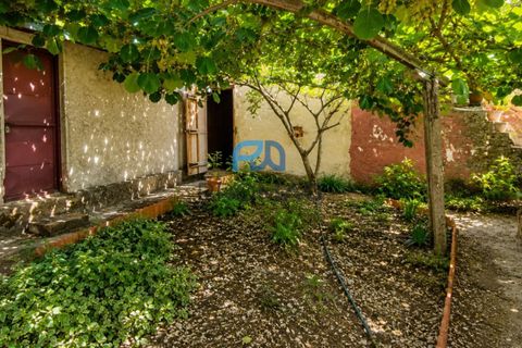 Villa en Resende, Viseu, Resende - € 270.000 | Ref: #291 - photo 45