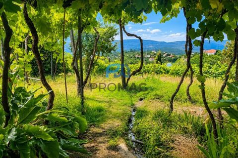 Villa en Resende, Viseu, Resende - € 270.000 | Ref: #291 - photo 46