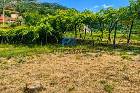 Villa en Resende, Viseu, Resende - € 270.000 | Ref: #291 - photo 47