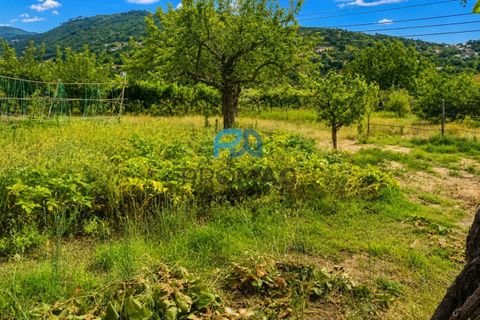Villa en Resende, Viseu, Resende - € 270.000 | Ref: #291 - photo 48