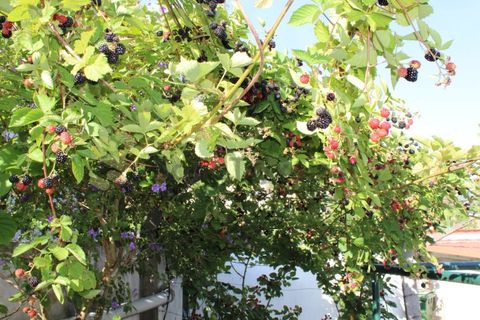 Villa en Frende, Porto, Frende - € 480.000 | Ref: CAS_1788 - photo 36
