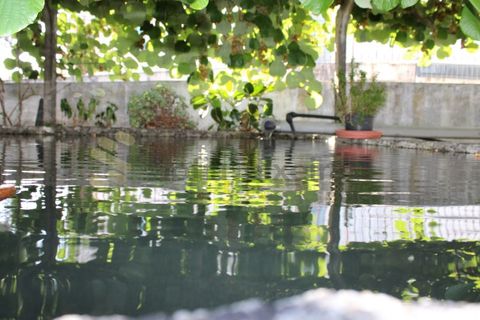 Villa en Frende, Porto, Frende - € 480.000 | Ref: CAS_1788 - photo 38