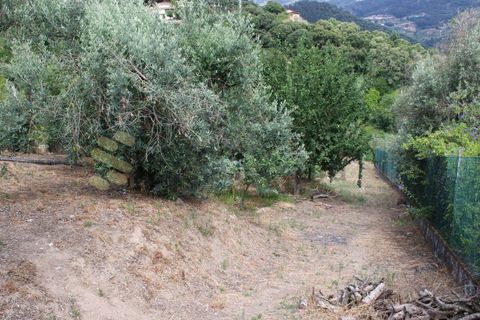 Villa en Frende, Porto, Frende - € 480.000 | Ref: CAS_1788 - photo 50
