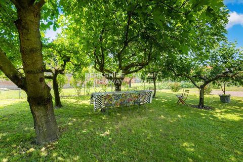 Erhvervsejendom i Caluso, Turin, Caluso - € 600.000 | Ref: IPI1881 - foto 39