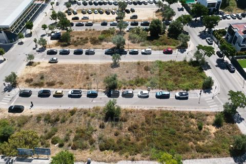Helårsgrund i Palmela, Setubal, Palmela - € 375.000 | Ref: PH3647 - foto 4
