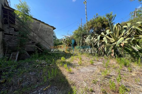 Villa en Luni, La Spezia, Luni - € 30.000 | Ref: 3750 - photo 7