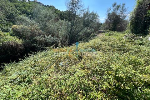 Villa en Luni, La Spezia, Luni - € 30.000 | Ref: 3750 - photo 9