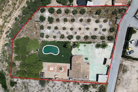 Landejendom i Albatera, Alicante, Albatera - € 349.000 | Ref: CSPX-21228 - foto 4
