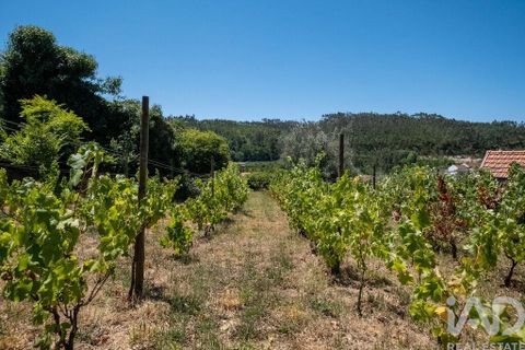 Byhus i Mortagua, Viseu, Mortagua - € 285.000 | Ref: 968507 - foto 5