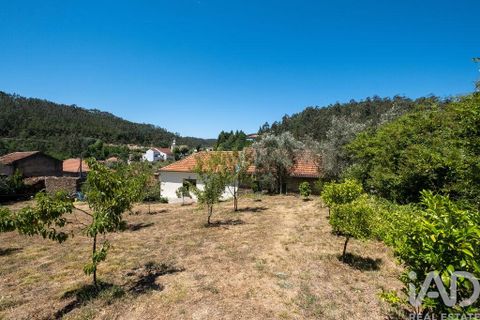 Byhus i Mortagua, Viseu, Mortagua - € 285.000 | Ref: 968507 - foto 33