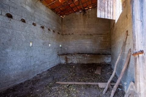 Byhus i Mortagua, Viseu, Mortagua - € 285.000 | Ref: 968507 - foto 35