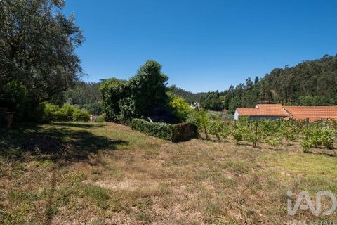 Byhus i Mortagua, Viseu, Mortagua - € 285.000 | Ref: 968507 - foto 36