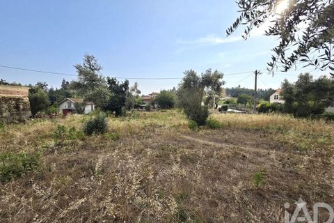Byhus i Santa Comba Dao, Viseu, Santa Comba Dao - € 69.900 | Ref: 966280 - foto 15