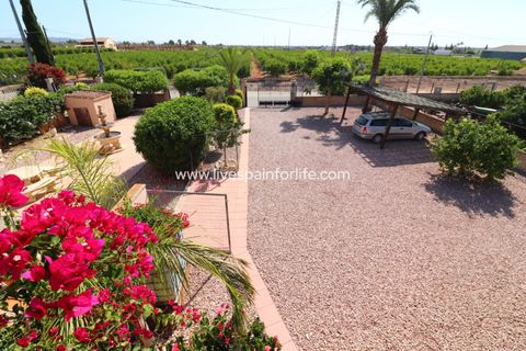 Landejendom i Albatera, Alicante, Albatera - € 320.000 | Ref: VRE-14882 - foto 2