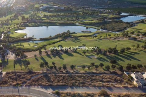 Villa a Algorfa, Alicante, Algorfa - € 1.600.000 | Ref: 88578 - foto 4