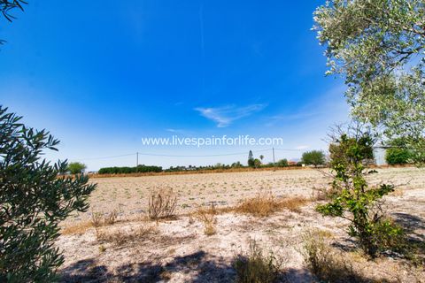 Landejendom i Dolores, Alicante, Dolores - € 495.000 | Ref: DOL BH-D - foto 34
