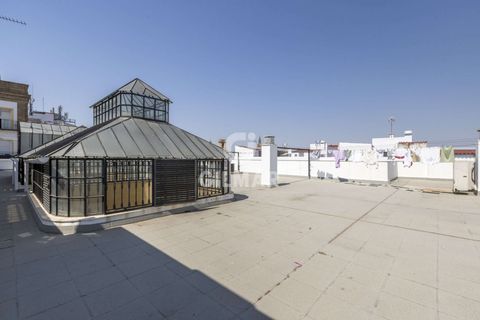Penthouse i Sevilla, Sevilla, Sevilla - € 492.000 | Ref: 221941 - foto 27