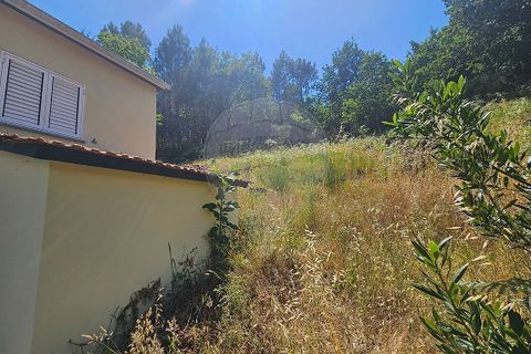 Villa i Castro Daire, Viseu, Castro Daire - € 100.000 | Ref: 126021008-293 - foto 5