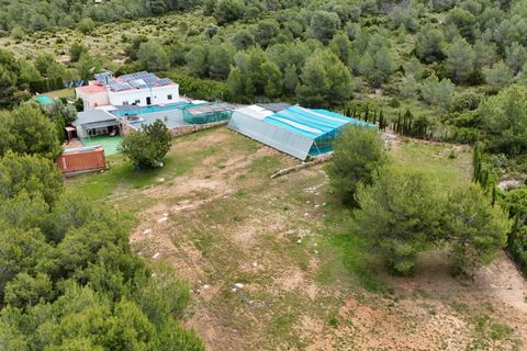 Villa i Lliria, Valencia, Lliria - € 250.000 | Ref: OH02353/10701 - foto 5