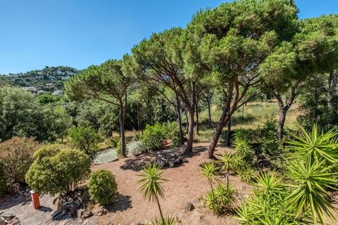 Villa i Calonge, Gerona, Calonge - € 595.000 | Ref: 643 - foto 36