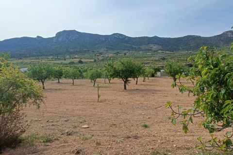 Villa i La Romana, Alicante, La Romana - € 230.000 | Ref: MLSC7689266 - foto 10