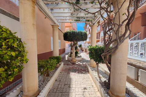 Lejlighed i Torrevieja, Alicante, Torrevieja - € 215.000 | Ref: MLSC2082294 - foto 48