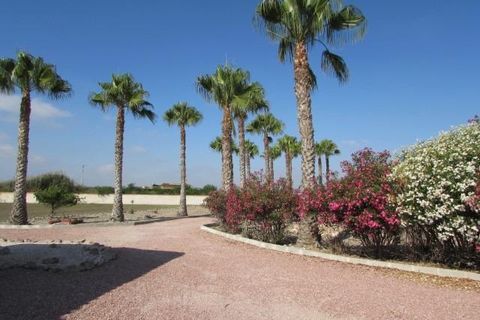 Villa i Dolores, Alicante, Dolores - € 445.000 | Ref: MLSC5904516 - foto 33