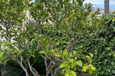 Byhus i Torrevieja, Alicante, Torrevieja - € 355.000 | Ref: MLSC5530174 - foto 3