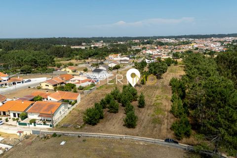 Tomt i Quiaios, Coimbra, Quiaios - € 90 000 | Ref: TER_3001_SCAR - foto 3