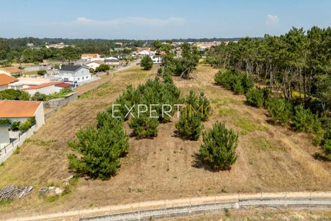 Tomt i Quiaios, Coimbra, Quiaios - € 90 000 | Ref: TER_3001_SCAR - foto 9