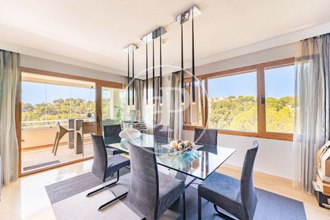 Penthouse i Calvia, Mallorca, Calvia - € 1 790 000 | Ref: VPM2607007 - foto 7