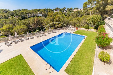 Penthouse i Calvia, Mallorca, Calvia - € 1 790 000 | Ref: VPM2607007 - foto 48