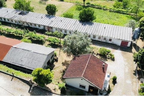 Granja en Valenca, Viana do Castelo, Valenca - € 160.000 | Ref: 965974 - photo 9