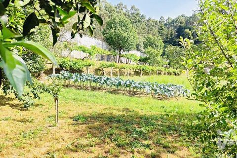 Granja en Valenca, Viana do Castelo, Valenca - € 160.000 | Ref: 965974 - photo 23