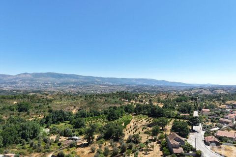 Grond in Mangualde, Viseu, Mangualde - € 110.000 | Ref: 955473 - foto 1