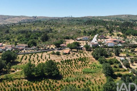 Grond in Mangualde, Viseu, Mangualde - € 110.000 | Ref: 955473 - foto 3