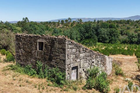 Grond in Mangualde, Viseu, Mangualde - € 110.000 | Ref: 955473 - foto 4