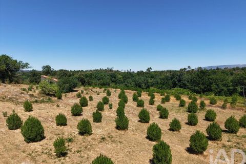 Grond in Mangualde, Viseu, Mangualde - € 110.000 | Ref: 955473 - foto 5