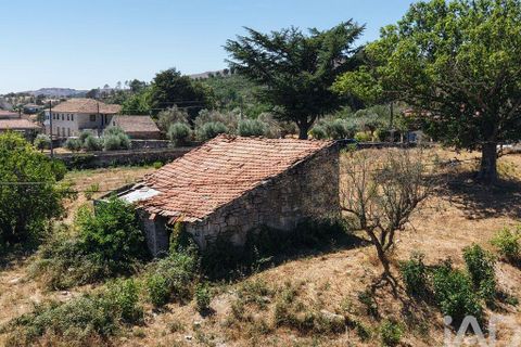 Grond in Mangualde, Viseu, Mangualde - € 110.000 | Ref: 955473 - foto 6
