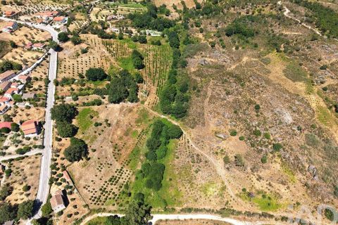 Grond in Mangualde, Viseu, Mangualde - € 110.000 | Ref: 955473 - foto 8