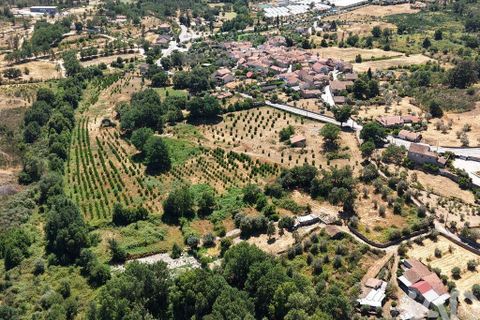 Grond in Mangualde, Viseu, Mangualde - € 110.000 | Ref: 955473 - foto 9