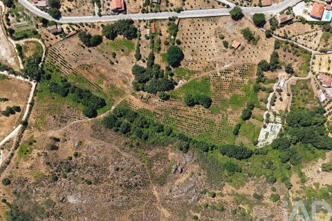 Grond in Mangualde, Viseu, Mangualde - € 110.000 | Ref: 955473 - foto 10